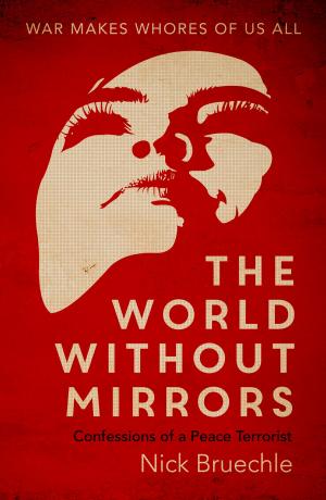 Book cover of The World Without Mirrors