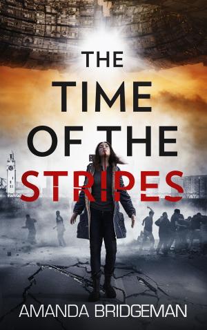 bigCover of the book The Time of the Stripes by 
