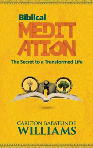 bigCover of the book Biblical Meditation: The Secret to a Transformed Life by 