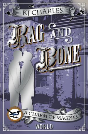 Cover of the book Rag and Bone by Daniel Guillot