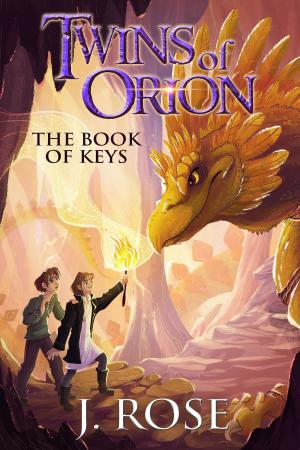 bigCover of the book Twins of Orion by 