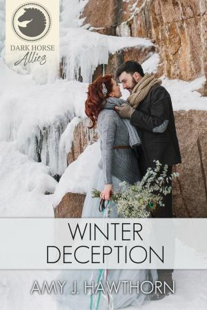 Book cover of Winter Deception