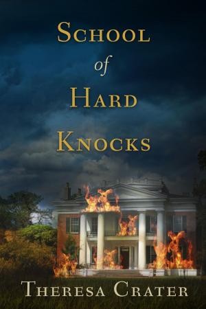 Cover of the book School of Hard Knocks by theresa saayman