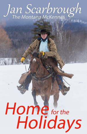 Cover of the book Home for the Holidays by P. R. Garcia