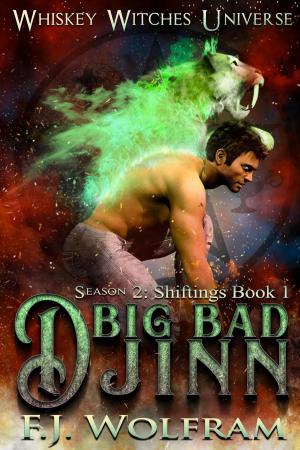 Cover of the book Big Bad Djinn by TL Schaefer