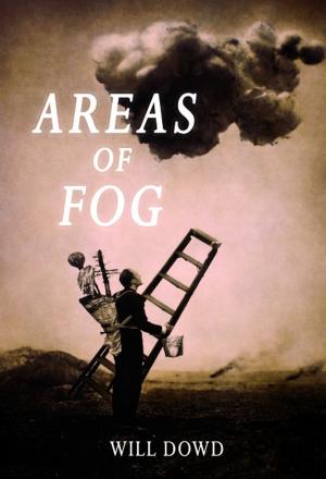 Book cover of Areas of Fog