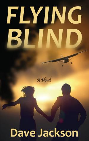 Cover of the book Flying Blind by Robert Luis Rabello