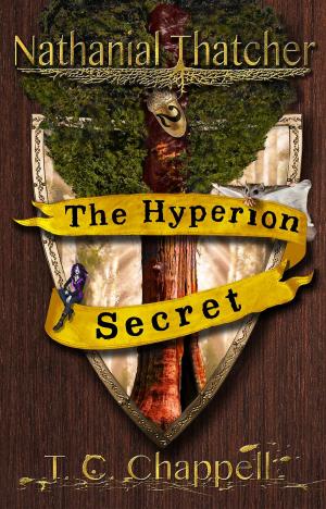 bigCover of the book The Hyperion Secret by 