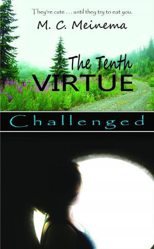 Cover of the book The Tenth Virtue by Brad Blake