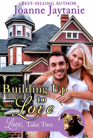 Cover of the book Building Up to Love by Ann Lory