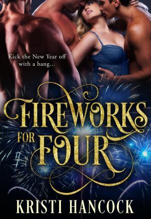 Book cover of Fireworks for Four