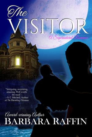 Cover of the book The Visitor by Renee Salvatori, Mary Roberts