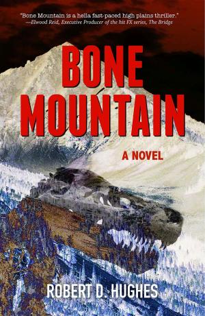 Book cover of BONE MOUNTAIN