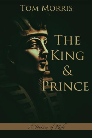 Book cover of The King and Prince