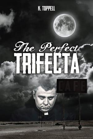 Cover of the book The Perfect Trifecta by Dave Helmreich
