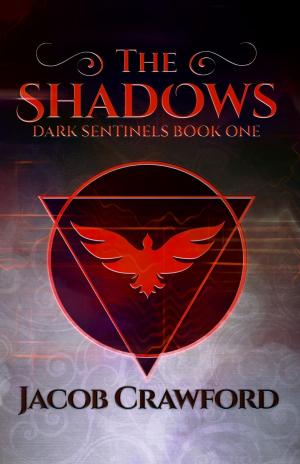 Cover of the book The Shadows by Leah Cypess