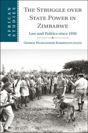 Cover of the book The Struggle over State Power in Zimbabwe by Dr James Laidlaw