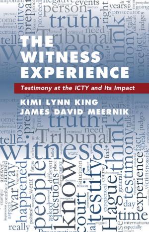 Cover of the book The Witness Experience by Professor David Ohana