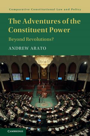 Cover of the book The Adventures of the Constituent Power by Nicholas Wolterstorff