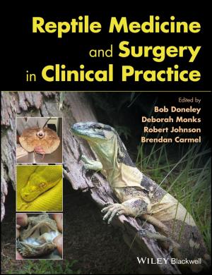 Cover of the book Reptile Medicine and Surgery in Clinical Practice by Hugh Devlin