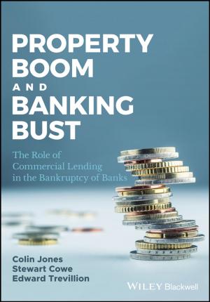 Book cover of Property Boom and Banking Bust