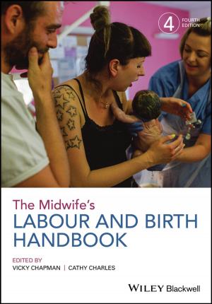 Cover of the book The Midwife's Labour and Birth Handbook by Daniel Galin
