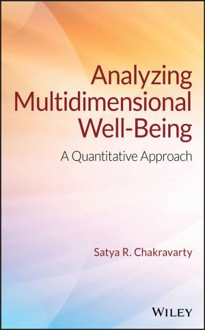 Cover of the book Analyzing Multidimensional Well-Being by David Shelters