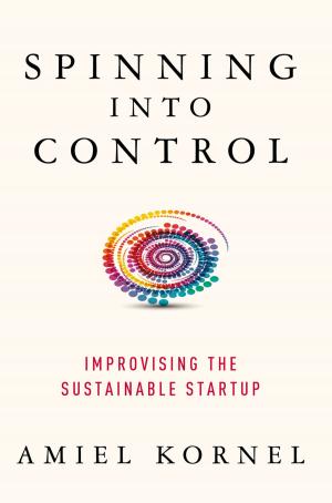 Cover of the book Spinning into Control by B. Westphal