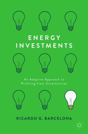 Cover of the book Energy Investments by R. Thorp, M. Paredes