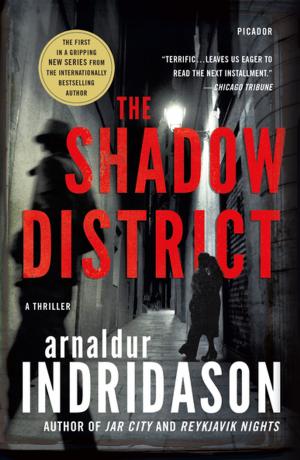 Cover of the book The Shadow District by Kat Martin