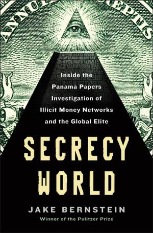 Book cover of Secrecy World