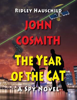 Cover of the book John Cosmith - The Year of the CAT: A Spy Novel by Andrew Johnston