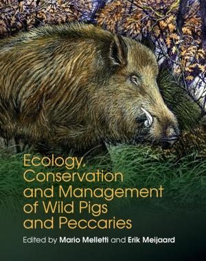 Cover of the book Ecology, Conservation and Management of Wild Pigs and Peccaries by Elizabeth S. Allman, John A. Rhodes