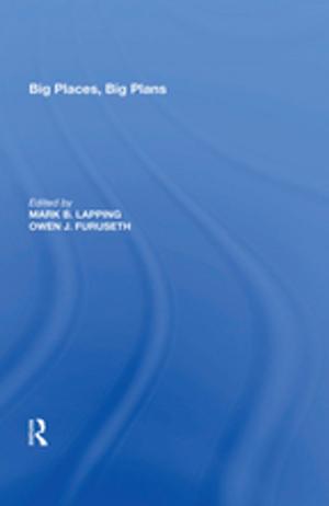 Cover of the book Big Places, Big Plans by Lorraine Eden, Kathy Lund Dean, Paul M Vaaler