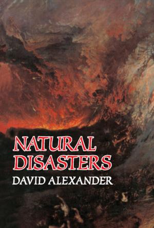Cover of the book Natural Disasters by Anastasia Veloni, Nikolaos Miridakis