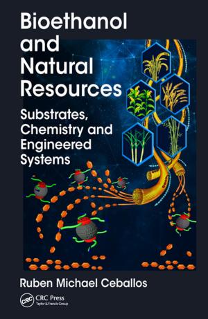 Cover of the book Bioethanol and Natural Resources by Kim Tasso