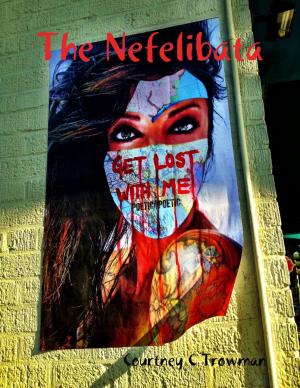 Cover of the book The Nefelibata by Melinda Snodgrass