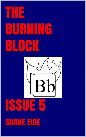 bigCover of the book The Burning Block Issue 5 by 