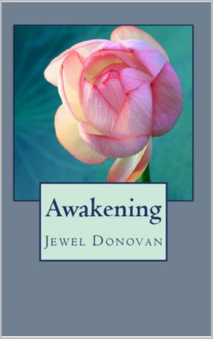 Cover of the book Awakening by Avery Phillips