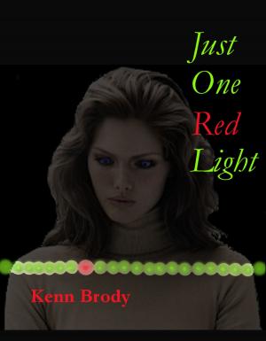 Cover of the book Just One Red Light by Muhammad Xenohikari