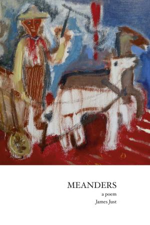 Cover of the book Meanders by Ruth Pettite