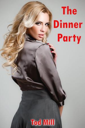 Cover of the book The Dinner Party by Tod Mill