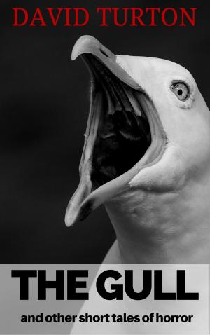 Cover of the book The Gull and Other Short Tales of Horror by Jess Wygle