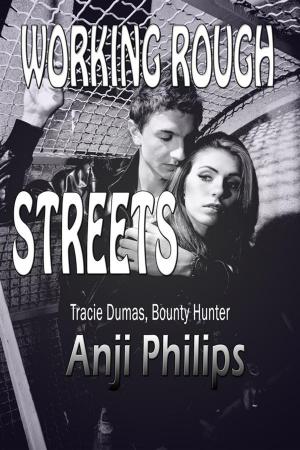 Cover of the book Working Rough Streets by Alex Krane