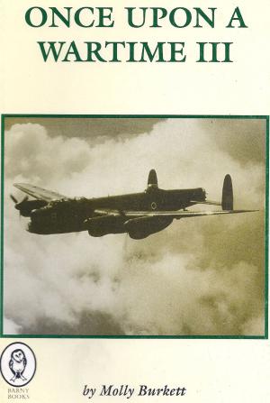 Cover of the book Once Upon a Wartime III by Rayne Dowell