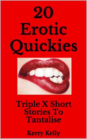 Cover of the book 20 Erotic Quickies: Triple X Stories To Tantalise by Kerry Kelly