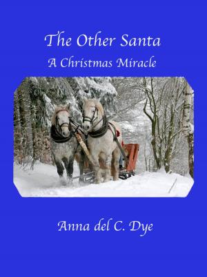 Cover of the book The Other Santa by Rudolf Steiner