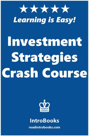 Cover of the book Investment Strategies Crash Course by IntroBooks