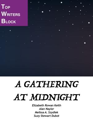 bigCover of the book A Gathering At Midnight by 