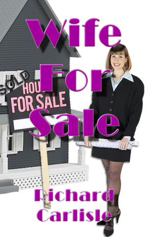 Cover of the book Wife For Sale by Stephen Odaire